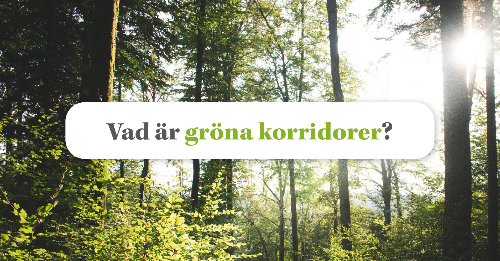 Gröna korridorer: Vägen till en miljövänligare varutransport?