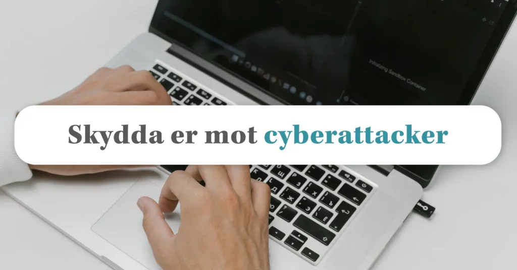 Är din e-handel skyddad mot cyberattacker?